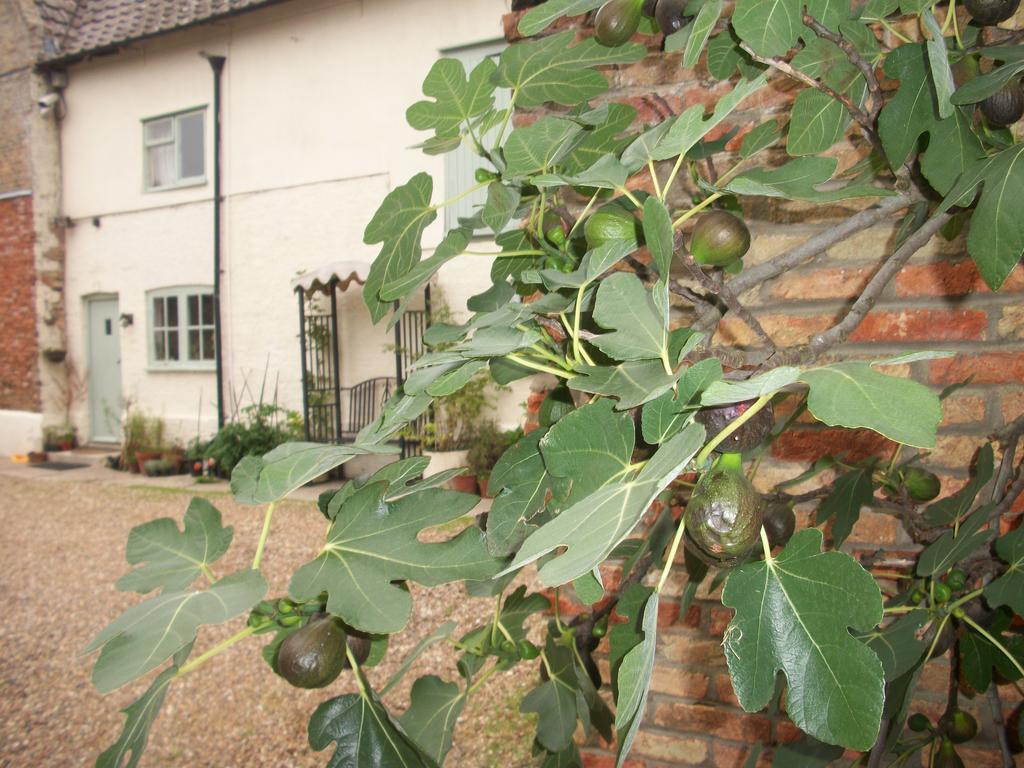 Maison d'hôtes The Walnuts Country House à West Row Extérieur photo